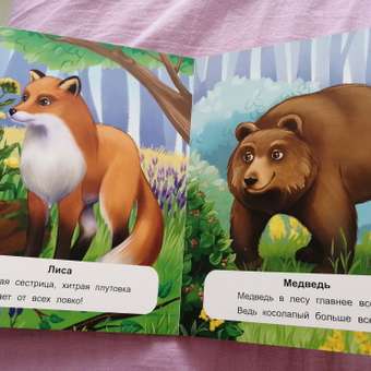 Книга Феникс Премьер Лесные животные. Стихи для малышей: отзыв пользователя Детский Мир