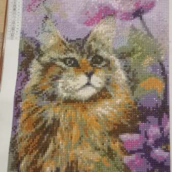 Алмазная мозаика Seichi Пушистый кот с цветами 30х40 см: отзыв пользователя Детский Мир