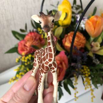 Фигурка MOJO Animal Planet Детеныш жирафа: отзыв пользователя Детский Мир