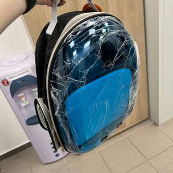 Рюкзак для переноски Пижон прозрачный 33х25х41 см: отзыв пользователя. Зоомагазин Зоозавр
