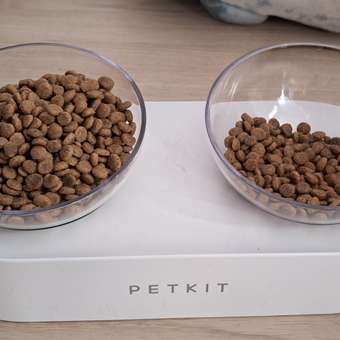 Миска для кошек PETKIT Fresh Nano pk8 double: отзыв пользователя. Зоомагазин Зоозавр