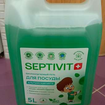 Средство для мытья посуды SEPTIVIT Premium Альпийская мята 5л: отзыв пользователя Детский Мир