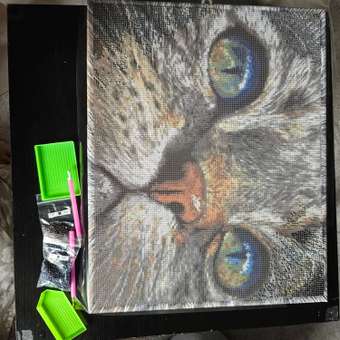 Алмазная мозаика Art on Canvas Кошачий взгляд в ассортименте: отзыв пользователя Детский Мир