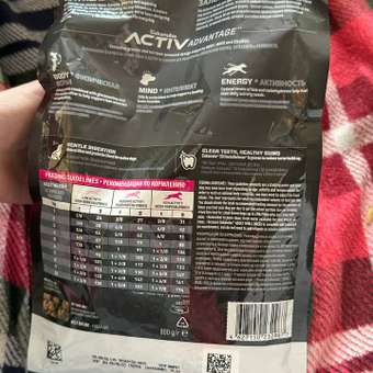 Корм Eukanuba Dog 800г для взрослых собак мелких пород сухой: отзыв пользователя. Зоомагазин Зоозавр
