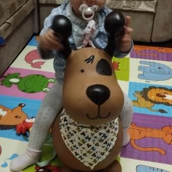 Прыгун LAKO SPORT Надувной Коричневый пёс Джек в комплекте с насосом: отзыв пользователя Детский Мир