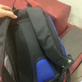 Рюкзак школьный Grizzly Черный-Синий-Серый RB-259-1/2: отзыв пользователя Детский Мир