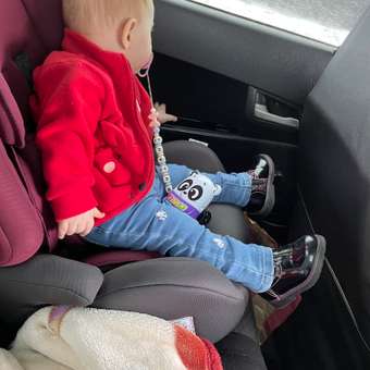 Автокресло Babyton Nils Cherry 1/2/3 (9-36 кг): отзыв пользователя Детский Мир