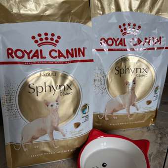 Корм сухой для кошек ROYAL CANIN Sphynx 2кг породы сфинк: отзыв пользователя. Зоомагазин Зоозавр