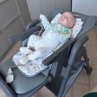 Стульчик для кормления Babyton Sweet Meals Grey классический: отзыв пользователя ДетМир