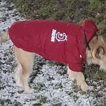 Куртка для собак Зоозавр красная 45: отзыв пользователя Детский Мир