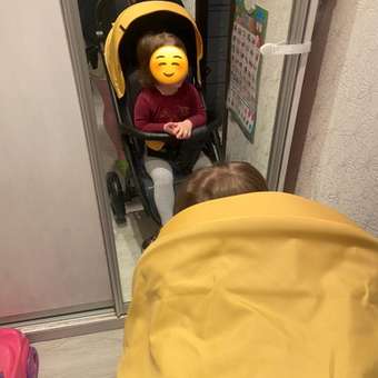 Коляска прогулочная Rant Basic Alpine Yellow: отзыв пользователя Детский Мир
