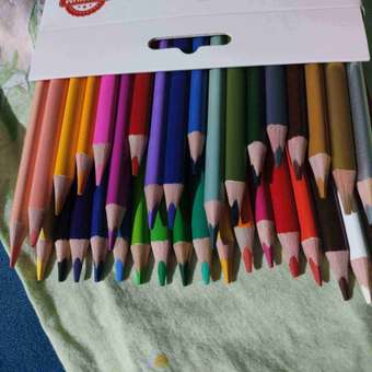 Карандаши цветные Brauberg трехгранные Premium 36 цветов: отзыв пользователя Детский Мир