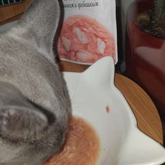 Корм для кошек Деревенские лакомства суп из тунца с лососем и гребешком пауч 35г: отзыв пользователя. Зоомагазин Зоозавр