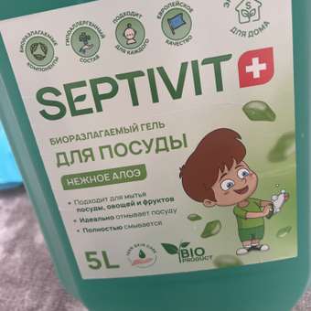 Гель для мытья посуды SEPTIVIT FRUTSY Нежное алое 5л: отзыв пользователя Детский Мир