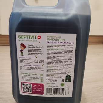 Жидкое мыло SEPTIVIT Premium Виноградная свежесть 5л: отзыв пользователя Детский Мир
