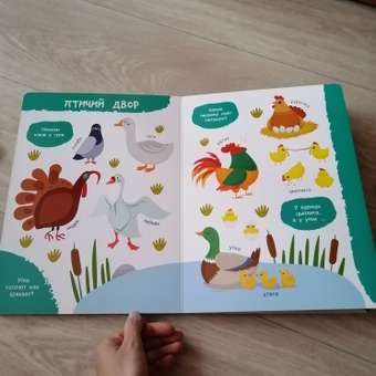 Книга АСТ Моя первая книга о животных Гигантская книга для малышей: отзыв пользователя Детский Мир