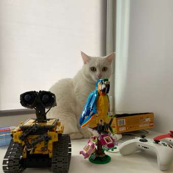 Конструктор LEGO Creator Exotic Parrot блочный: отзыв пользователя Детский Мир