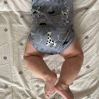 Боди BabyGo: отзыв пользователя Детский Мир