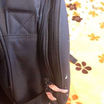 Рюкзак школьный Bruno Visconti облегченная капсула синий с эргономичной спинкой Lollipop Енотик: отзыв пользователя Детский Мир