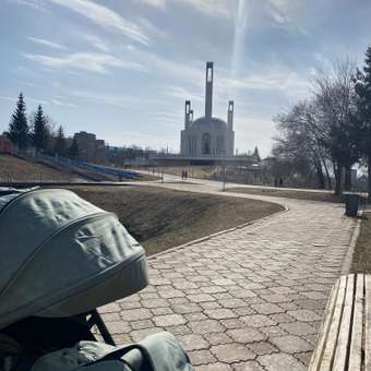 Коляска прогулочная Olsson Roady Light Green: отзыв пользователя ДетМир