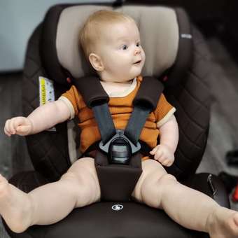 Автокресло BabyCare Shelter isofix коричневый: отзыв пользователя Детский Мир