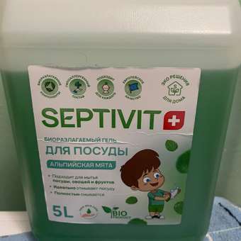 Средство для мытья посуды SEPTIVIT Premium Альпийская мята 5л: отзыв пользователя Детский Мир