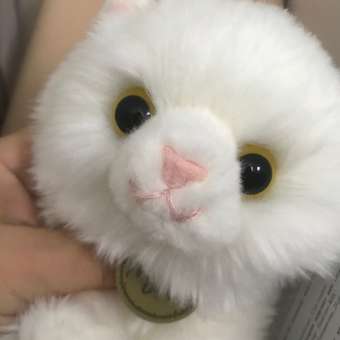 Игрушка мягкая Aurora котик: отзыв пользователя Детский Мир