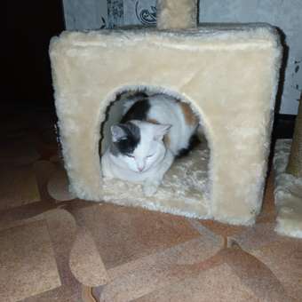 Домик для кошки с когтеточкой Pet БМФ Бежевый: отзыв пользователя Детский Мир