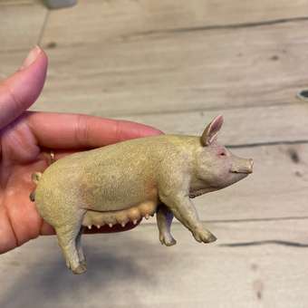 Фигурка Collecta Свинья: отзыв пользователя Детский Мир