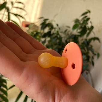 Соска-пустышка BIBS Colour Papaya 6+ месяцев: отзыв пользователя Детский Мир