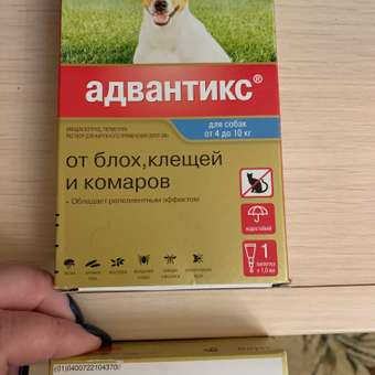 Капли для собак Elanco Адвантикс от 4 до 10кг против блох и клещей 1пипетка: отзыв пользователя Детский Мир