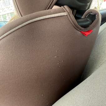 Автокресло Indigo Winner Isofix 1/2/3 (9-36 кг): отзыв пользователя Детский Мир