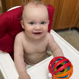 Игрушка Baby Einstein: отзыв пользователя ДетМир