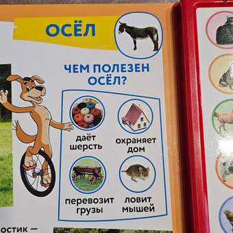 Книга УМка Домашние животные Простоквашино: отзыв пользователя Детский Мир