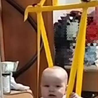 Прыгунки Babyton на круге Cерый Babyton: отзыв пользователя ДетМир