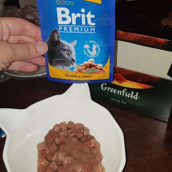 Корм влажный для кошек Brit Premium 100г лосось-форель: отзыв пользователя. Зоомагазин Зоозавр