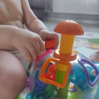 Игрушка BabyGo сортер Бегемот: отзыв пользователя Детский Мир