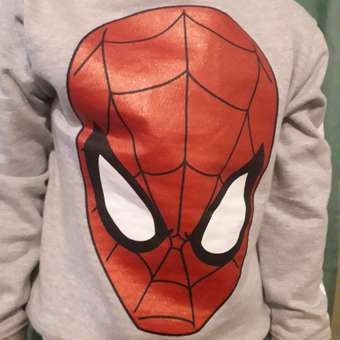 Свитшот Человек-Паук (Spider-man): отзыв пользователя Детский Мир