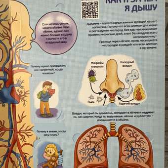 Энциклопедия с окошками BimBiMon Секреты человека: отзыв пользователя Детский Мир