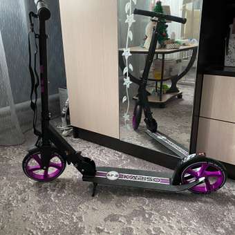 Самокат BABY STYLE 2х колесный складной до 100 кг черный/фиолетовый: отзыв пользователя Детский Мир