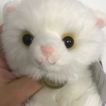 Игрушка мягкая Aurora котик: отзыв пользователя Детский Мир