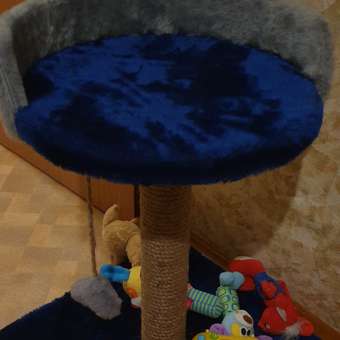 Когтеточка Пижон Столбик с лежанкой 40 х 40 х 55 см синяя: отзыв пользователя. Зоомагазин Зоозавр