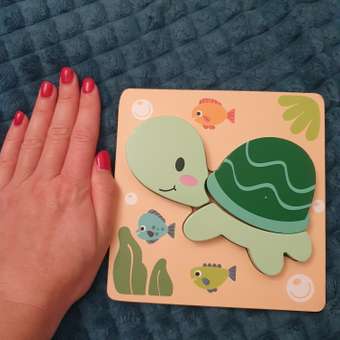 Игрушка BabyGo сортер Черепаха: отзыв пользователя Детский Мир