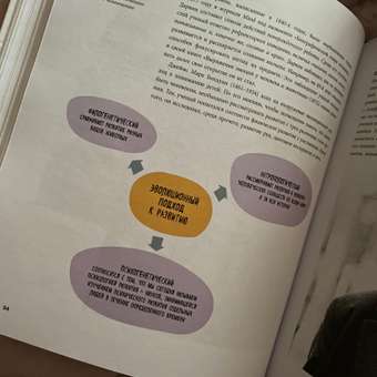 Книга БОМБОРА Психология Все что вам нужно знать в одной книге: отзыв пользователя Детский Мир
