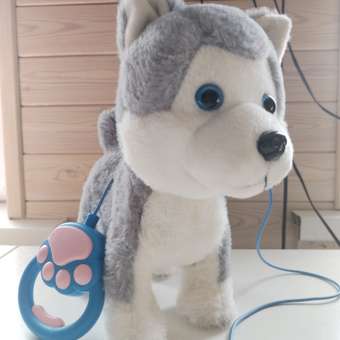 Игрушка Laffi Собака на поводке OTW0033604: отзыв пользователя Детский Мир