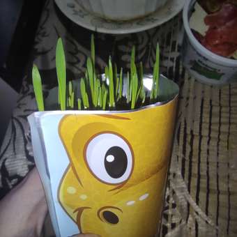 Набор для выращивания Happy Plant: отзыв пользователя Детский Мир