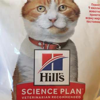 Корм сухой для кошек HILLS 300г Science Plan с тунцом для молодых стерилизованных: отзыв пользователя. Зоомагазин Зоозавр