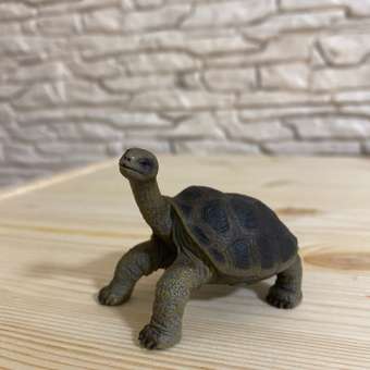 Фигурка животного Collecta Абингдонская слоновая черепаха: отзыв пользователя Детский Мир