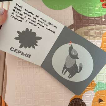 Книга книжки малышки на картоне Цвета: отзыв пользователя ДетМир