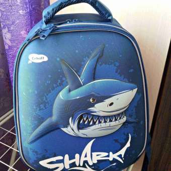 Ранец Erhaft Shark: отзыв пользователя Детский Мир